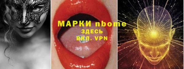 стаф Алексин