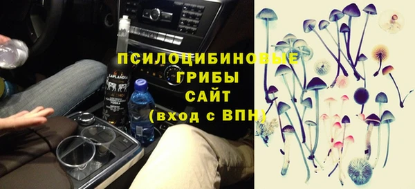 МДПВ Дмитров