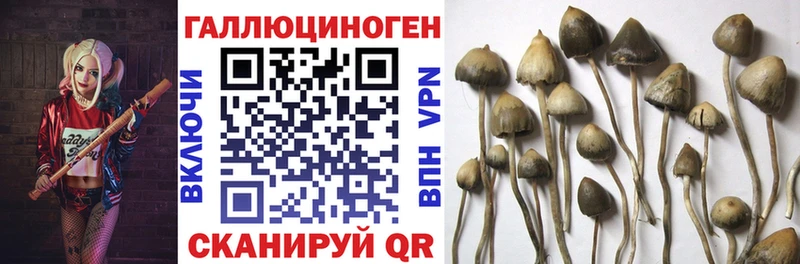 Галлюциногенные грибы Magic Shrooms Богучар