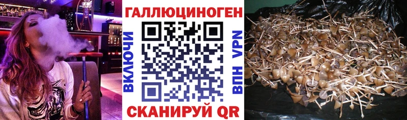 kraken сайт  Богучар  Псилоцибиновые грибы прущие грибы  магазин   