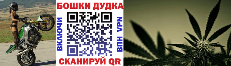 Конопля гибрид Богучар